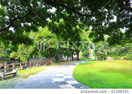 無須川,河流,溪流,石橋,柳樹,公園,休息, 無須川,河流,溪流,石橋,柳樹,公園,休息, 81306761