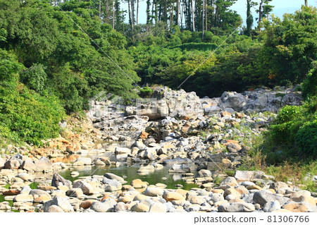 Streams, rivers, streams, stone bridges, willow trees, parks, resting places, 81306766