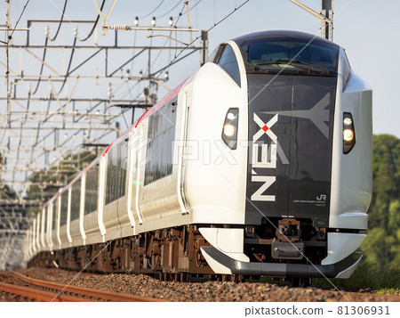 JR東日本E259系列火車 81306931