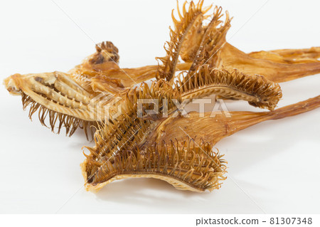 Cod stomach 81307348
