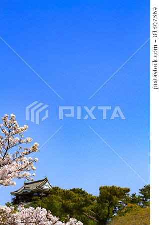 岡崎市的春景、岡崎城和櫻花 岡崎市的春景、岡崎城和櫻花 81307369