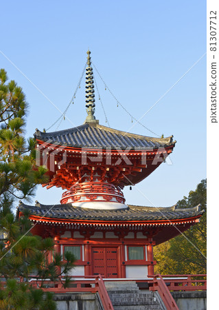 [Autumn leaves of Daikakuji Temple, Sagano, Kyoto] Autumn image 81307712