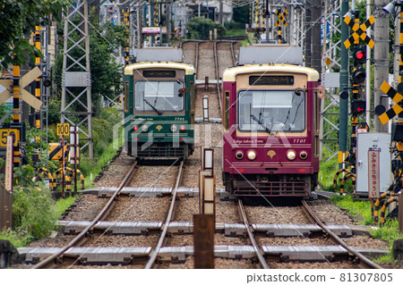 東京都電荒川線飛鳥山站附近經過的有軌電車 東京都電荒川線飛鳥山站附近經過的有軌電車 81307805