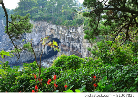 Sojeongbang瀑布，，瀑布，海岸，海岸，懸崖，懸崖，大海，風景， 81307825