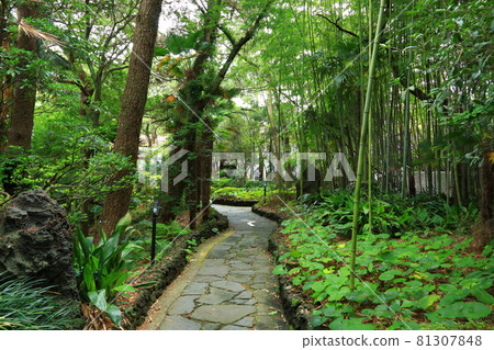 Sojeongbang Falls, waterfall, coast, coastal area, cliff, precipice, sea, scenery, Sojeongbang Falls, waterfall, coast, coastal area, cliff, precipice, sea, scenery, 81307848