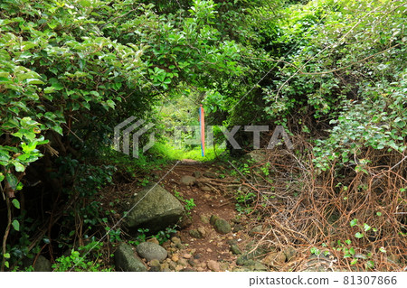Sojeongbang Falls, waterfall, coast, coastal area, cliff, precipice, sea, scenery, 81307866