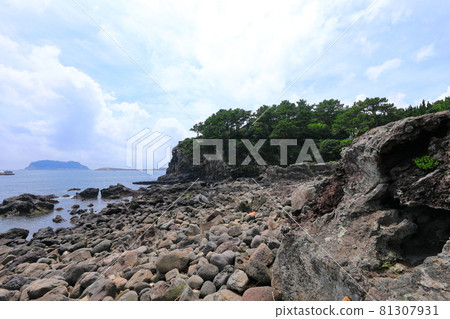 Sojeongbang Falls, coast, shore, seaside, cliff, precipice, scenery, palm trees, Sojeongbang Falls, coast, shore, seaside, cliff, precipice, scenery, palm trees, 81307931