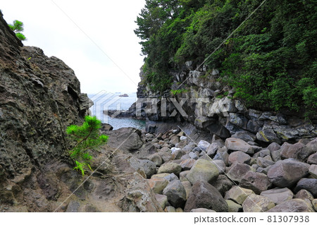 Sojeongbang Falls, coast, shore, seaside, cliff, precipice, scenery, palm trees, Sojeongbang Falls, coast, shore, seaside, cliff, precipice, scenery, palm trees, 81307938
