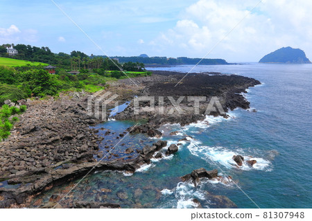 Sojeongbang Falls, coast, shore, seaside, cliff, precipice, scenery, palm trees, Sojeongbang Falls, coast, shore, seaside, cliff, precipice, scenery, palm trees, 81307948