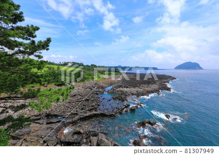 Sojeongbang Falls, coast, shore, seaside, cliff, precipice, scenery, palm trees, 81307949