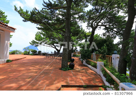 Sojeongbang Falls, coast, shore, seaside, cliff, precipice, scenery, palm trees, Sojeongbang Falls, coast, shore, seaside, cliff, precipice, scenery, palm trees, 81307966