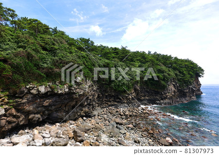 Sojeongbang Falls, coast, shore, seaside, cliff, precipice, scenery, palm trees, Sojeongbang Falls, coast, shore, seaside, cliff, precipice, scenery, palm trees, 81307973