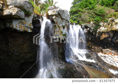 Sojeongbang Falls, coast, shore, seaside, cliff, precipice, scenery, palm trees, 81307975