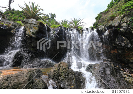 Sojeongbang Falls, coast, shore, seaside, cliff, precipice, scenery, palm trees, 81307981