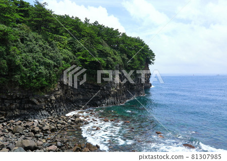 Sojeongbang Falls, coast, shore, seaside, cliff, precipice, scenery, palm trees, Sojeongbang Falls, coast, shore, seaside, cliff, precipice, scenery, palm trees, 81307985