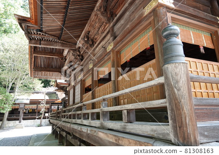 諏訪大社(下神社)沒有本宮。相反,在晴宮,古老的杉樹被用作神樹。 諏訪大社(下神社)沒有本宮。相反,在晴宮,古老的杉樹被用作神樹。 81308163
