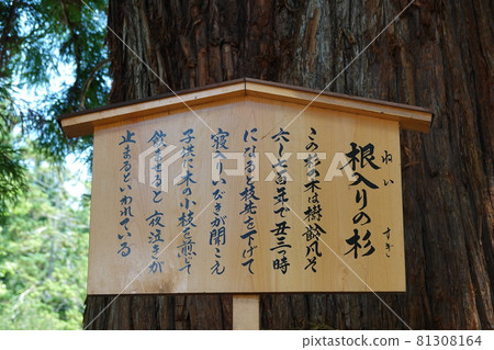 諏訪大社(下神社)沒有本宮。相反,在晴宮,古老的杉樹被用作神樹。 諏訪大社(下神社)沒有本宮。相反,在晴宮,古老的杉樹被用作神樹。 81308164