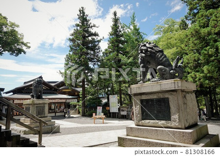 Suwa Taisha Shrine (lower shrine) does not have a main shrine. Instead, in Harumiya, the old Sugi tree is used as a sacred tree. Suwa Taisha Shrine (lower shrine) does not have a main shrine. Instead, in Harumiya, the old Sugi tree is used as a sacred tree. 81308166