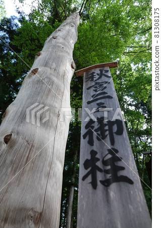 Suwa Taisha Shrine (lower shrine) does not have a main shrine. Instead, in Harumiya, the old Sugi tree is used as a sacred tree. Suwa Taisha Shrine (lower shrine) does not have a main shrine. Instead, in Harumiya, the old Sugi tree is used as a sacred tree. 81308175