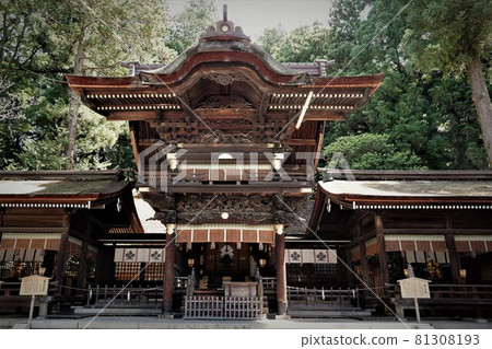 Suwa Taisha Shrine (lower shrine) does not have a main shrine. Instead, in Harumiya, the old Sugi tree is used as a sacred tree. 81308193