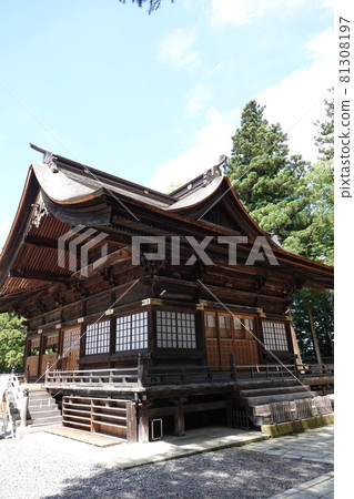 Suwa Taisha Shrine (lower shrine) does not have a main shrine. Instead, in Harumiya, the old Sugi tree is used as a sacred tree. Suwa Taisha Shrine (lower shrine) does not have a main shrine. Instead, in Harumiya, the old Sugi tree is used as a sacred tree. 81308197