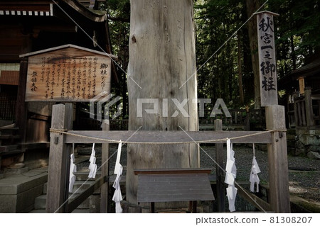 Suwa Taisha Shrine (lower shrine) does not have a main shrine. Instead, in Harumiya, the old Sugi tree is used as a sacred tree. 81308207
