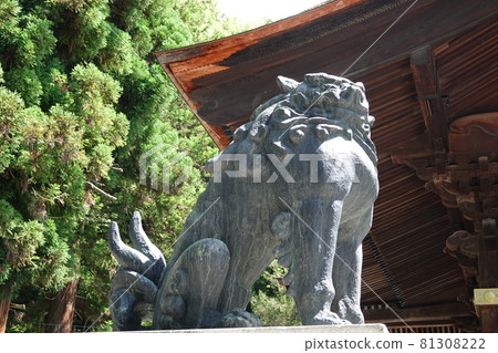 諏訪大社(下神社)沒有本宮。相反,在晴宮,古老的杉樹被用作神樹。 諏訪大社(下神社)沒有本宮。相反,在晴宮,古老的杉樹被用作神樹。 81308222
