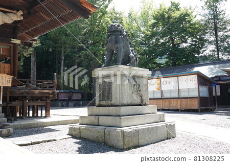 諏訪大社（下神社）沒有本宮。相反，在晴宮，古老的杉樹被用作神樹。 81308225