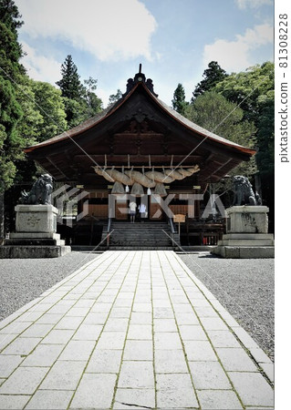 Suwa Taisha Shrine (lower shrine) does not have a main shrine. Instead, in Harumiya, the old Sugi tree is used as a sacred tree. Suwa Taisha Shrine (lower shrine) does not have a main shrine. Instead, in Harumiya, the old Sugi tree is used as a sacred tree. 81308228