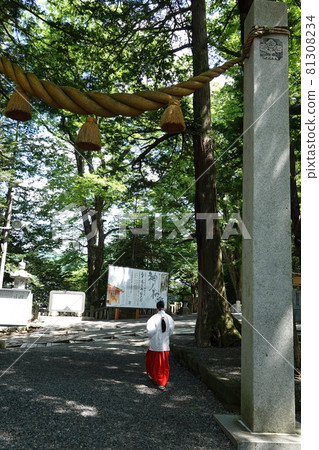 Suwa Taisha Shrine (lower shrine) does not have a main shrine. Instead, in Harumiya, the old Sugi tree is used as a sacred tree. 81308234