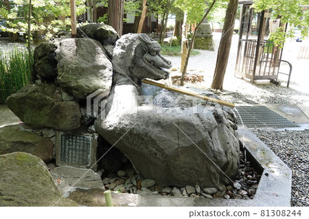 諏訪大社(下神社)沒有本宮。相反,在晴宮,古老的杉樹被用作神樹。 諏訪大社(下神社)沒有本宮。相反,在晴宮,古老的杉樹被用作神樹。 81308244