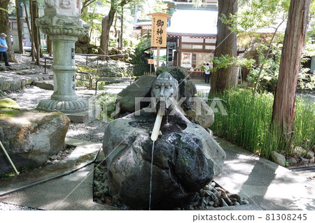 諏訪大社(下神社)沒有本宮。相反,在晴宮,古老的杉樹被用作神樹。 諏訪大社(下神社)沒有本宮。相反,在晴宮,古老的杉樹被用作神樹。 81308245
