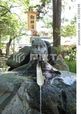 諏訪大社（下神社）沒有本宮。相反，在晴宮，古老的杉樹被用作神樹。 81308246