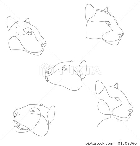 Jaguar head continuous one line drawing set. Single line wild cat collection. Vector illustration. 81308360