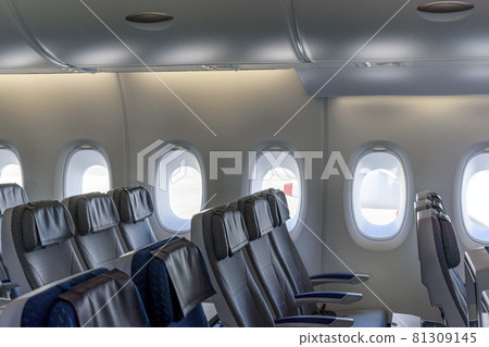 飛機上的飛行 Honu 座椅 81309145