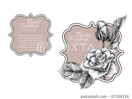 Set of face and back labels for products Set of face and back labels for products 81309316