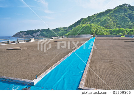 【輪島鹽的鹽田】石川縣輪島市澀町 【輪島鹽的鹽田】石川縣輪島市澀町 81309506