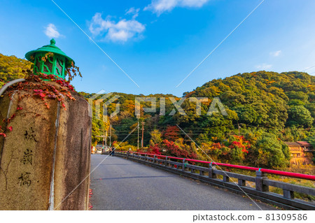 View from Shiromine Bridge around JR Jokoji Station in autumn <Kasugai City, Aichi Prefecture> 81309586