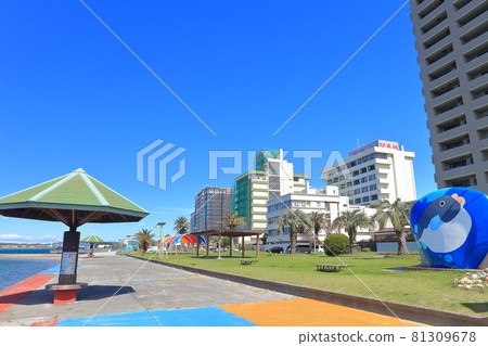 [Shizuoka Prefecture] Bentenjima Seaside Park under sunny weather 81309678