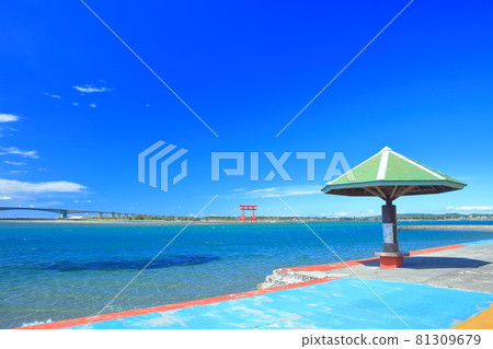 [Shizuoka Prefecture] Bentenjima Seaside Park under sunny weather 81309679