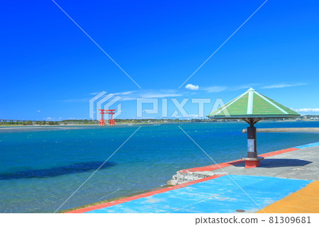 [靜岡縣]本田島海濱公園在晴朗的天氣下 81309681