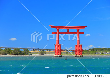 [靜岡縣]本田島海濱公園在晴朗的天氣下 81309688