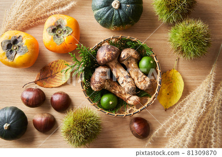 秋季食材，各種 81309870