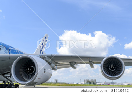 Wing and jet engine Wing and jet engine 81310422