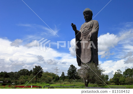 Ushiku Great Buddha Ushiku Great Buddha 81310432