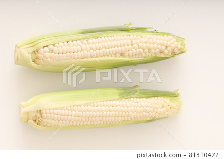 Corn snow fairy Corn snow fairy 81310472