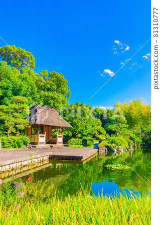Jozanen, beautiful green Japanese garden <Anjo City, Aichi Prefecture> 81310777