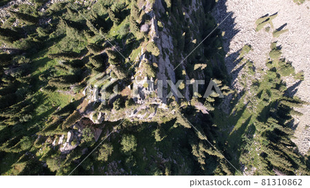 A high rock in middle of the forest in mountains 81310862