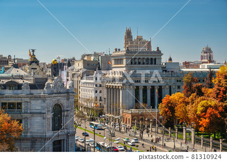 Madrid Spain, high angle view city skyline at Alcala street with autumn foliage season Madrid Spain, high angle view city skyline at Alcala street with autumn foliage season 81310924
