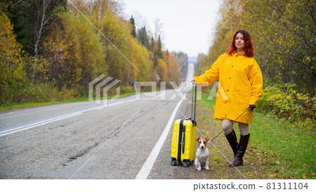 A red-haired woman in a yellow coat holds a yellow suitcase and walks her dog jack russell terrier along the track along the forest in autumn. 81311104